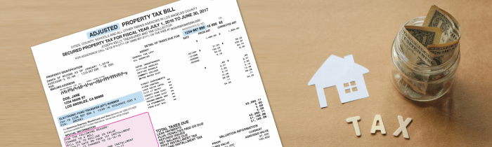 Property tax appeal